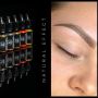 SPMU BASIS TRAINING POWDERBROWS thumbnail