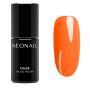 9950-7 I'm Unstoppable - NEONAIL thumbnail