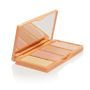 Universal Concealer Palette - Bellapierre thumbnail