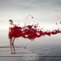 Haute Collection thumbnail