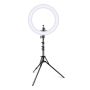 Ring Light Led Lamp thumbnail