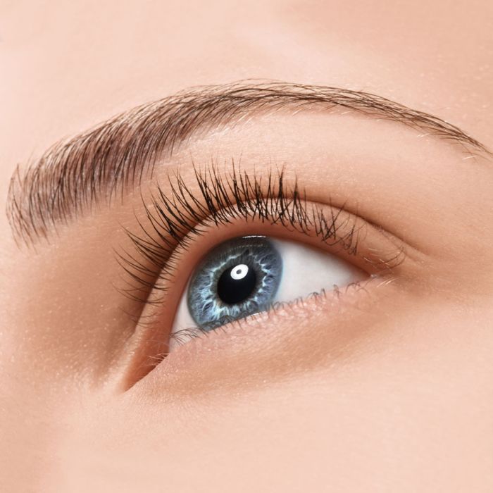 Design Eyebrow "Nude Brown" - Lisine