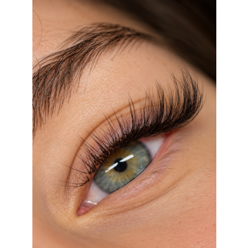 Arabian Lashes Training (New!)