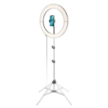 Glamcor Galileo Lamp Grijs