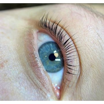 LLX Lash Lift