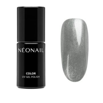 11573-7 Silver Sheen - Neonail